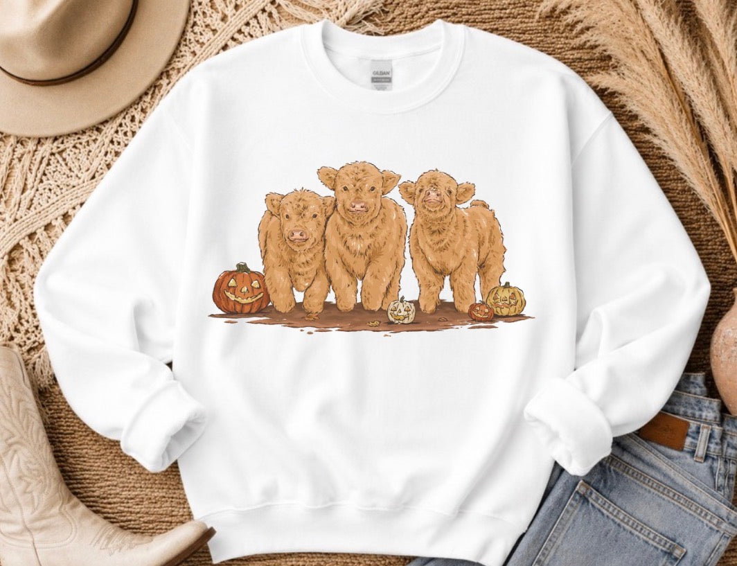 Highland Babes - Made to Order