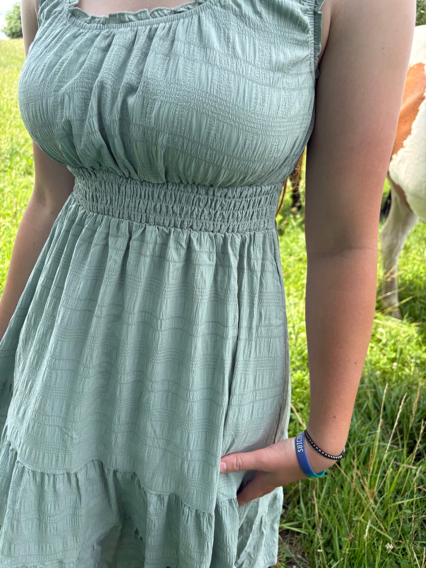The Southern Charm Pleated Dress