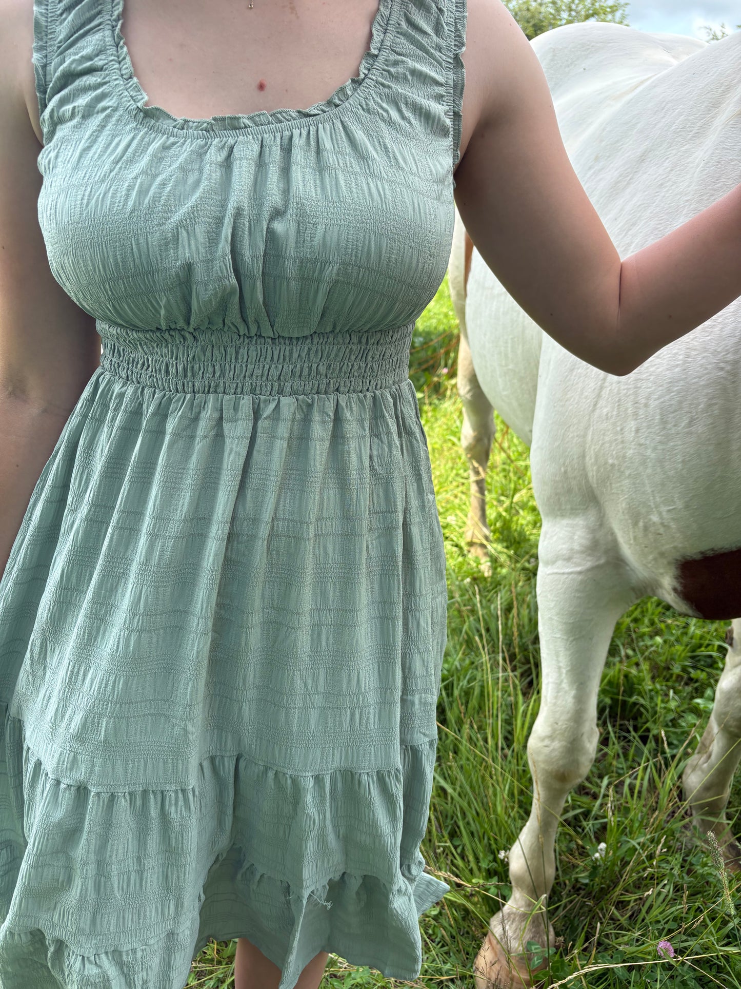 The Southern Charm Pleated Dress