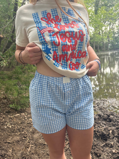 Blue High Waist Gingham Shorts